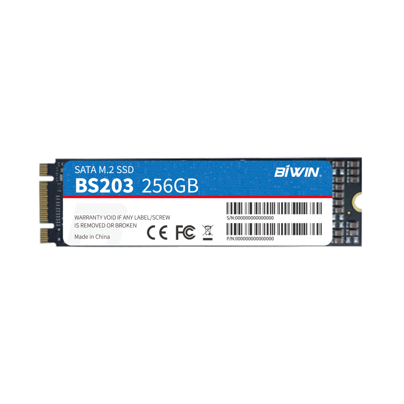 M.2 SATA SSD（图1）